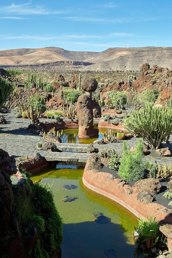 Comment les jardins communautaires peuvent-ils aider à lutter contre l'insécurité alimentaire?